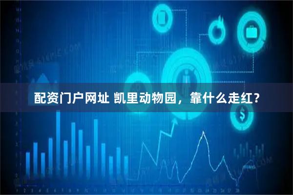 配资门户网址 凯里动物园，靠什么走红？