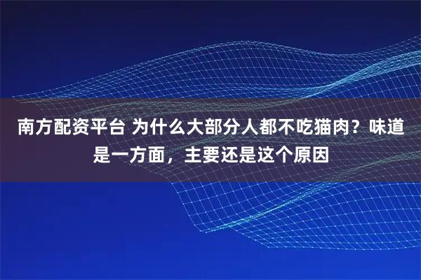 南方配资平台 为什么大部分人都不吃猫肉?味道是一方面,主要还是这个原因